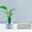 A249 christmas decorations under 5$, variant on sdhkgrrt under $5 Hydroponic Plant Pots, Clear Hydroponic Flower Vases,Self Absorbing Water Storage Plant Pots,Transplastic Indoor Plant Grow Pots,Modern Hydroponic System for Plants,Home Decoration