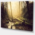 thumbnail image 2 of Stream in the Dark Wild Forest - Forest Canvas Art Print, 2 of 3