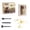 C, variant on 1PC A Minibee Dinosaur Digging Kit Archaeology Science Set with Excavation Tools for Educational STEAM Activity