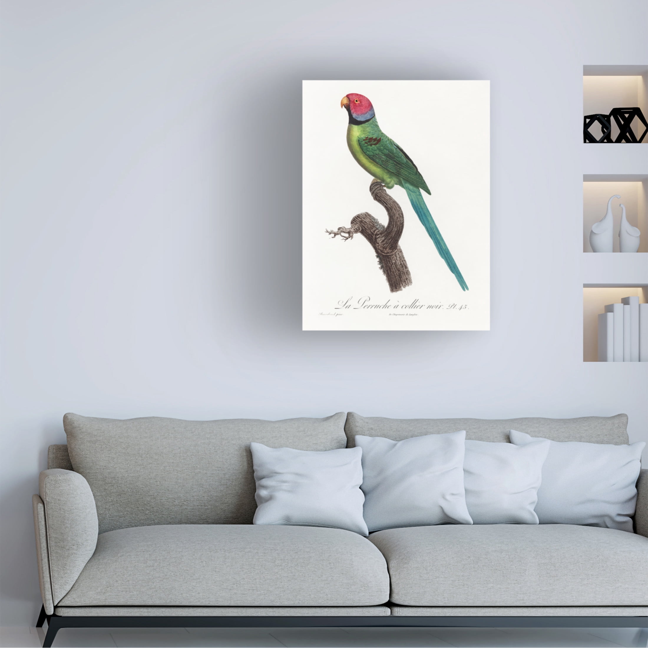 Trademark Fine Art Francois Levaillant Levaillant Parrot VIII Canvas Wall Art