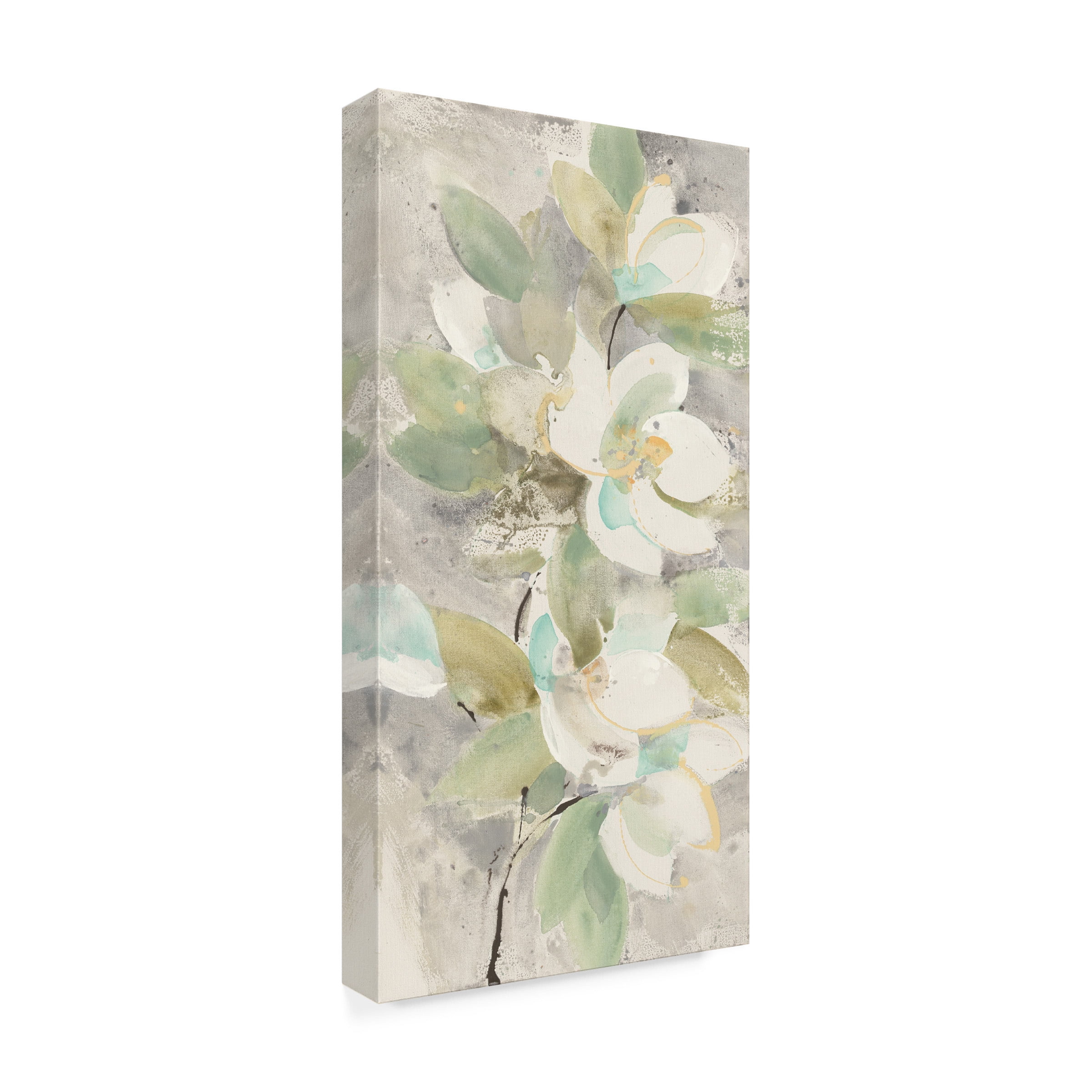 Trademark Fine Art 'Pale Magnolia' Canvas Art by Albena Hristova