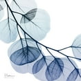 thumbnail image 2 of Koetsier, Albert 15x15 White Modern Wood Framed Museum Art Print Titled - Blue Eucalyptus 2, 2 of 4