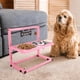 thumbnail image 1 of Cuencos Elevados SHAINFUN Acero Inoxidable para Perros Pequeños y Medianos con Soporte Ajustable, 1 of 5