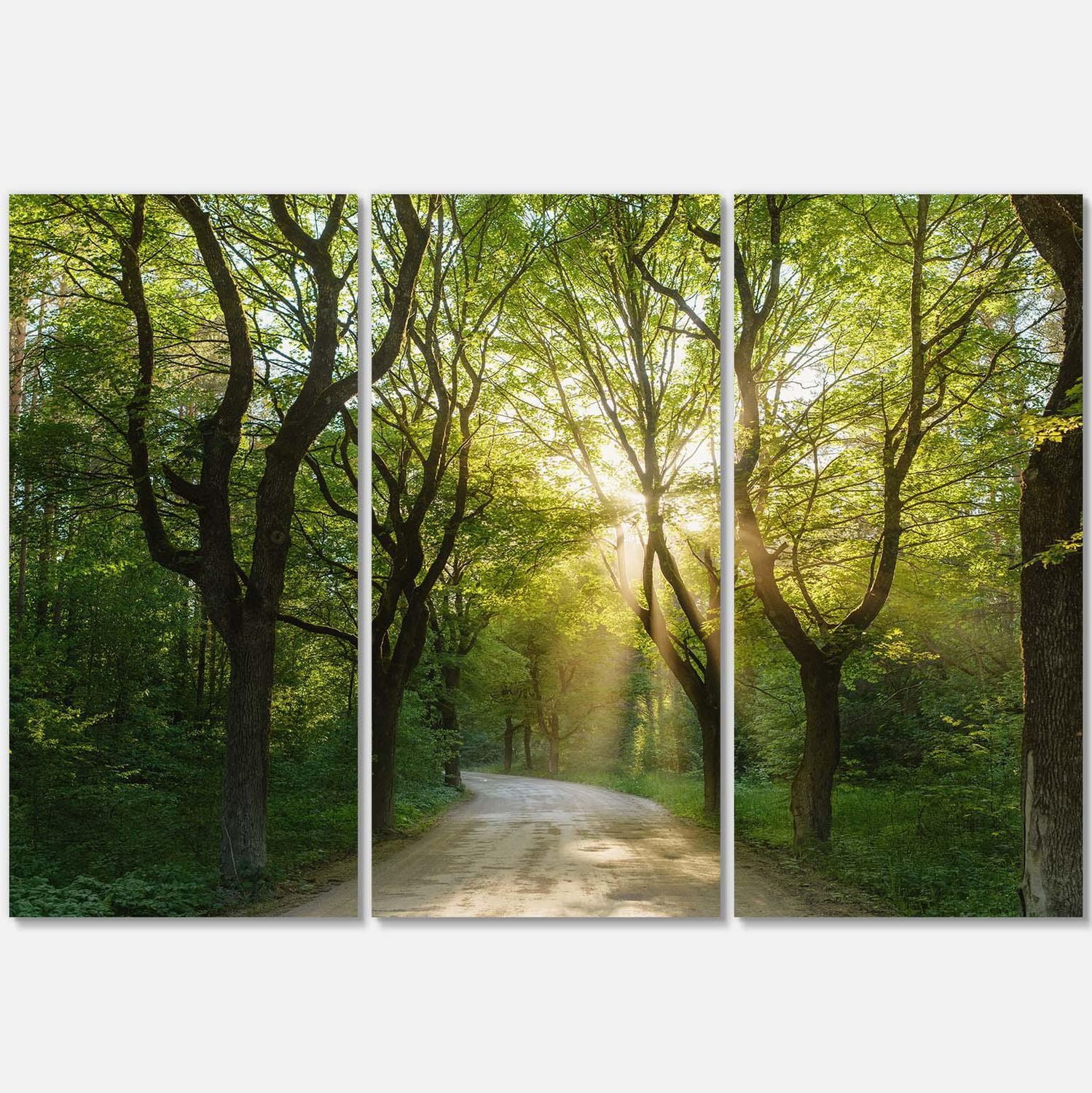 Designart Evening in Green Forest Canvas Wall Art