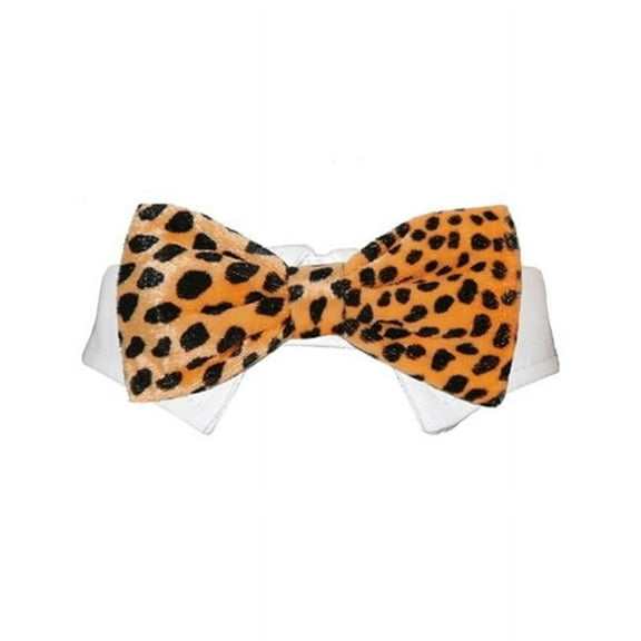 Pooch Outfitters PRBO-XXL Roberto Bow Tie, Orange - 2XL