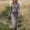 🔥 Gray, variant on Sentmoon Cocktail Dress for Women Prom Dresses Summer 2026 Solid Color Long Sleeve Lapel with Zipper Tassel Regular Fit Modest Dresses for Women for Work and Chic Style S-XXL