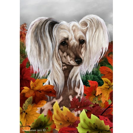 Chinese Crested - Best of Breed Fall Leaves Garden