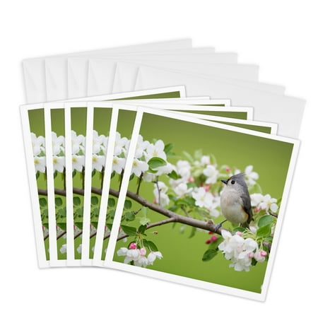 3dRose, Tufted Titmouse in Crabapple tree in spring. Marion, Illinois, USA., 6 Greeting Cards with envelopes
