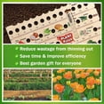 thumbnail image 2 of Regla de madera para plantas con regla de espaciado de semillas multifunción con guía de plantación. Regla de jardín con agujeros, herramientas de jardinería, 2 of 5