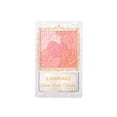 thumbnail image 1 of CANMAKE Mejillas Flor Resplandor [01] Flor Melocotón, 1 of 2