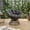 Grey Staple fiber, variant on Ergonomic Wicker Papasan Chair, 360° Swivel Chair with Soft Thick Cushion for Living Room, Bedroom, Reading Room