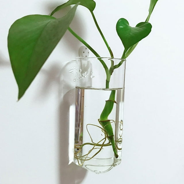 mmirethe Easy To Install And Remove Transparent Wall Hanging Planters Wall Hanging Flower Planter Pot 1Set