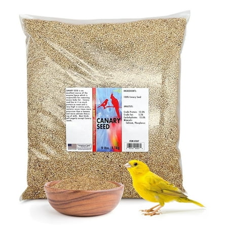 Morning Bird Canary Seed 9 lbs – Nutritional Rich in Vitamins and Supplements for Birds – Ideal for Healthy Feathers and Strong Bones Seed for All Birds Type