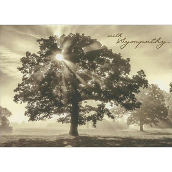 Avanti Press Sunbeams Shining Through the Top of a Tree Sympathy Card