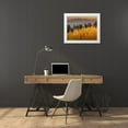 thumbnail image 3 of Pryor, Maresa 24x20 White Modern Wood Framed Museum Art Print Titled - Quaking aspen fall leaf colors looking east on the 10K Trail-Cibola National Forest-New Mexico, 3 of 4