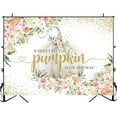 thumbnail image 3 of Pumpkin Baby Shower Backdrop A Little Pumpkin is on The Way Photography Background for Girls Fall Autumn Baby Shower Party Decorations Banner Supplies Photo Booth Props, 3 of 3