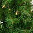 thumbnail image 5 of Northlight 36" Prelit Eastern Pine Artificial Christmas Wreath - Clear Lights, 5 of 9