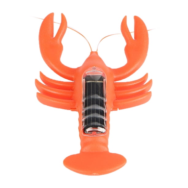 Hormiga Insecto Niños Cucaracha Juguetes Mágico Solar Juego de Insectos Aprender Juguetes Educativos Regalo Inevent WJ3916-05B