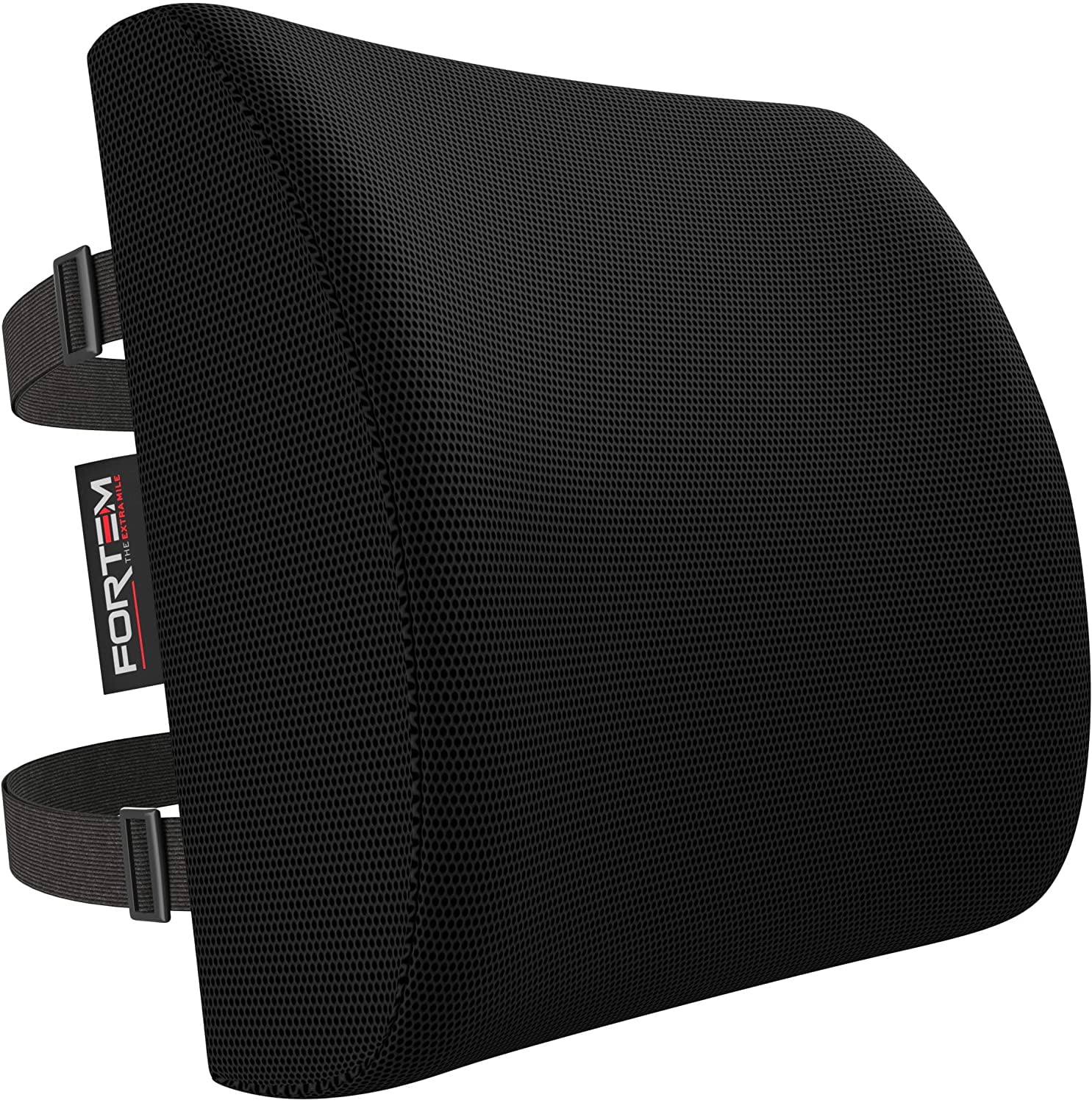 FORTEM Lumbar Support for Office Chair, Back Pillow for Car, Memory