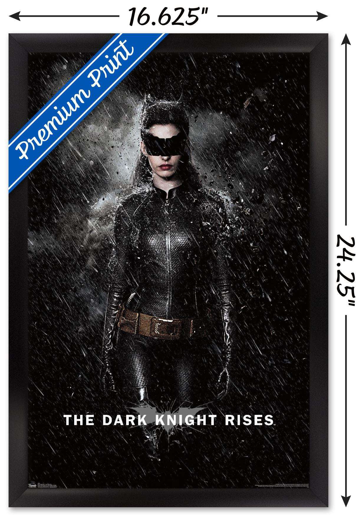 DC Comics Movie - The Dark Knight Rises - Catwoman Rain Wall Poster with  Wooden Magnetic Frame, 