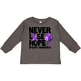 thumbnail image 3 of Inktastic Never Lose Hope Epilepsy Awareness with Balloons and Purple Ribbon Boys or Girls Long Sleeve Toddler T-Shirt, 3 of 5