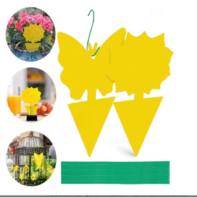 Trampas adhesivas amarillas 20 unidades trampa adhesiva para moscas de frutas y mosquitos de plantas para insectos JShteea Libre de BPA