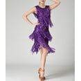 thumbnail image 2 of Whitewed Flapper Dance Dancing Fringe Performance Group Dresses for Shows Adults Purple, 2 of 5
