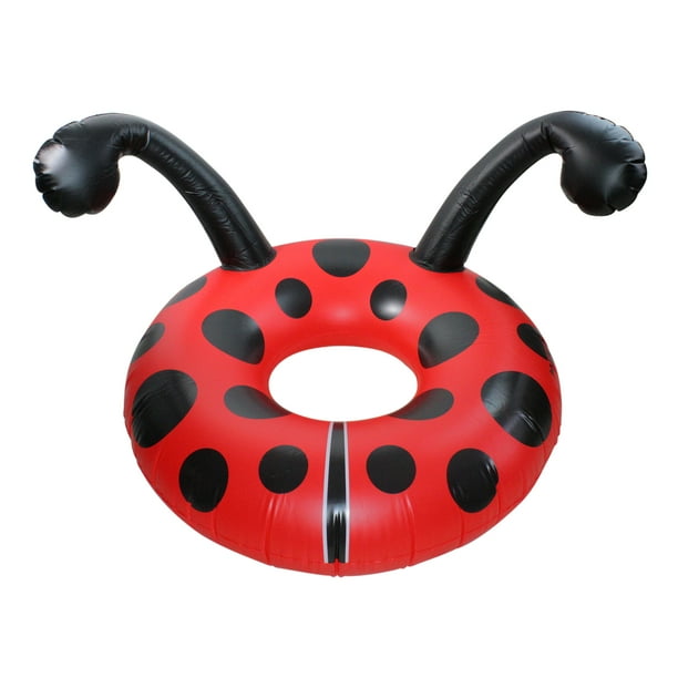 ladybug vacuum pool