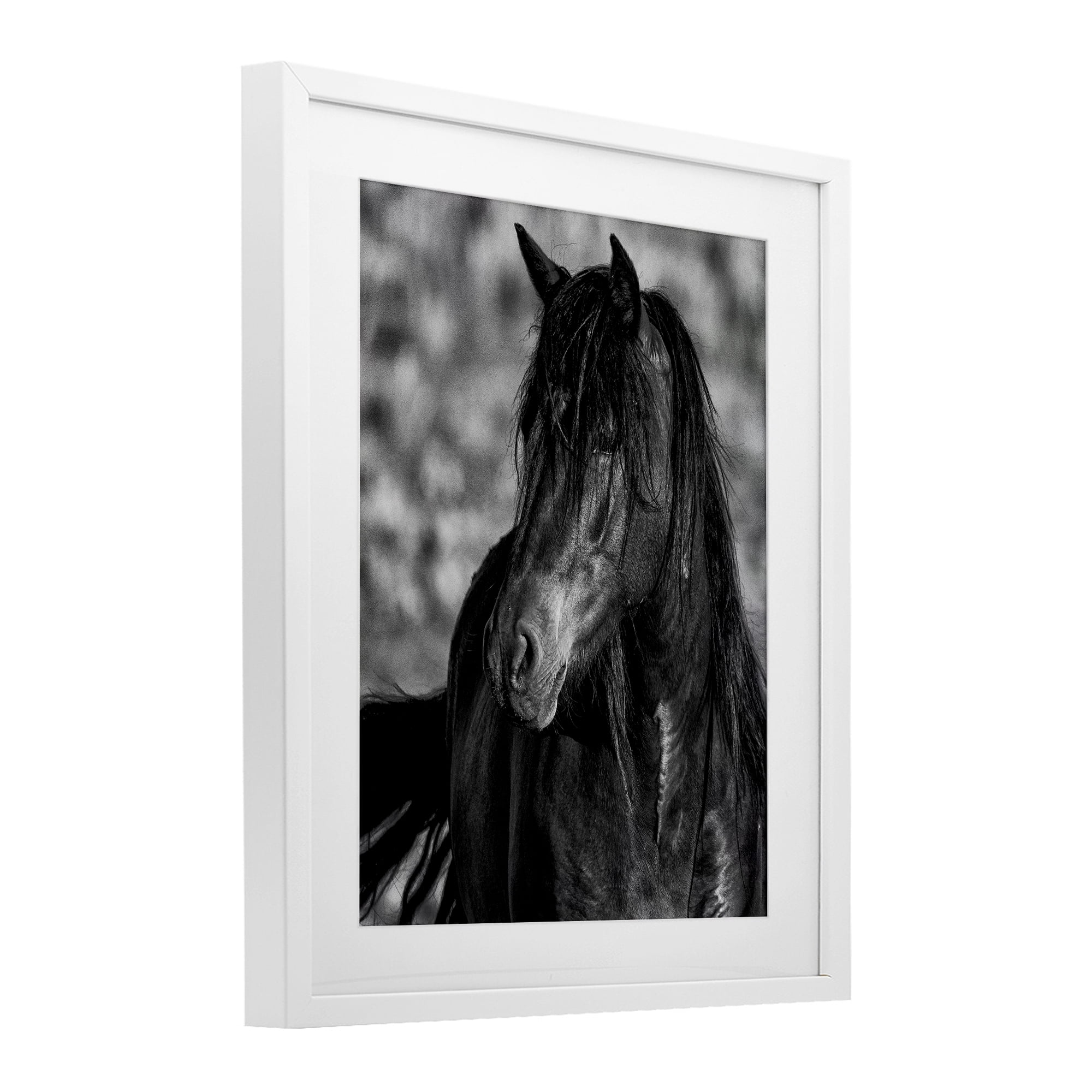 Stupell Industries Beauty In Black White Framed Print Under Glass, design by Tim West