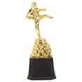 thumbnail image 3 of Shisuyan 1 Pce Prix Pratique Taekwondo Trophée Prix Coupe Concours Récompense pour Enfants, 3 of 8