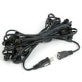 thumbnail image 3 of Novelty Lights 25' E12 Globe Outdoor String Lights, In-Line, Commercial Grade, Backyard Garden Gazebo, Cafe Market Patio Lights, Black Wire, 25 Sockets, 3 of 7