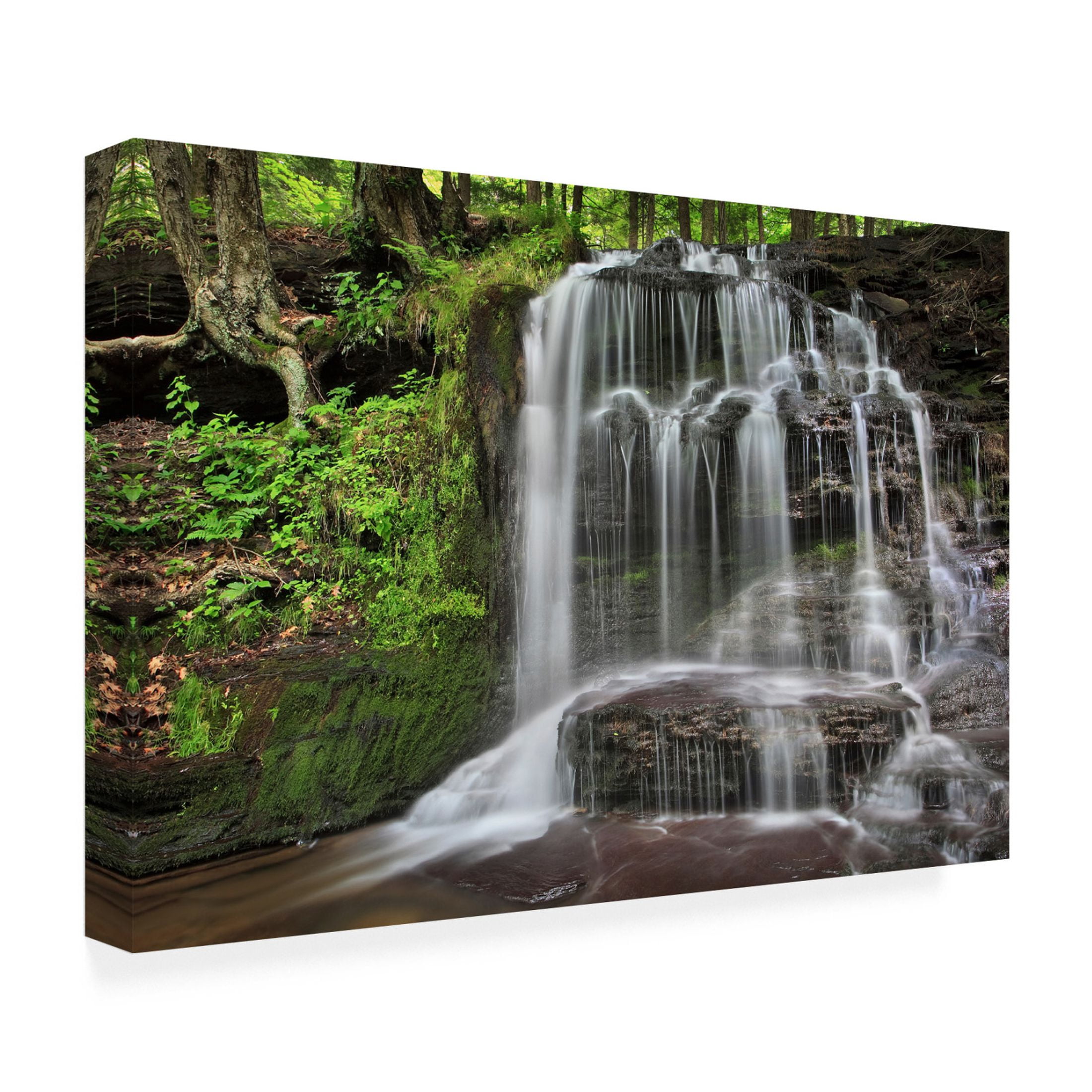 Canvas Wall Art - Patrick Zephyr 'Gunn Brooks Falls' Wall Art for Living Room, Bedroom, or Office Décor by Trademark Fine Art - 47 x 30 Inches