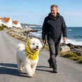 thumbnail image 3 of Cooling Dog Neck Gaiter Size S 30-44cm Breathable Sun Protection Scarf for Small Breeds,Colour as Pictured, 3 of 7