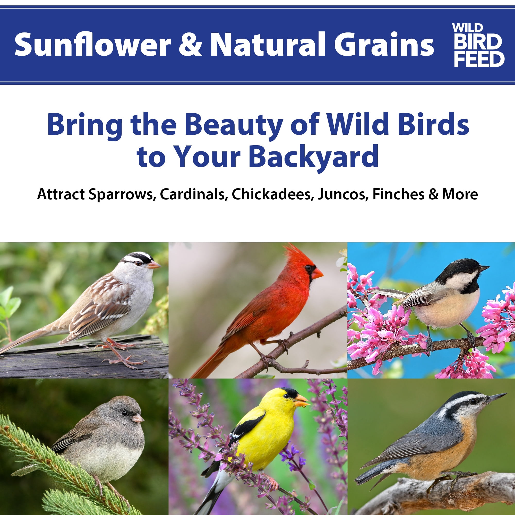 Global Harvest Foods Sunflower & Grains Wild Bird Feed, Dry, 1 Count per Pack, 20 lb. Bag