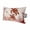 Red Beige, variant on Ocean Red Turtles Outdoor Pillows for Chaise Lounge Chair Waterproof Lumbar Pillows with Insert&Adjustable Strap Beach Headrest Pillow Coastal Coral Vintage Seagrass Flowers Pool Pillow 11"x16"