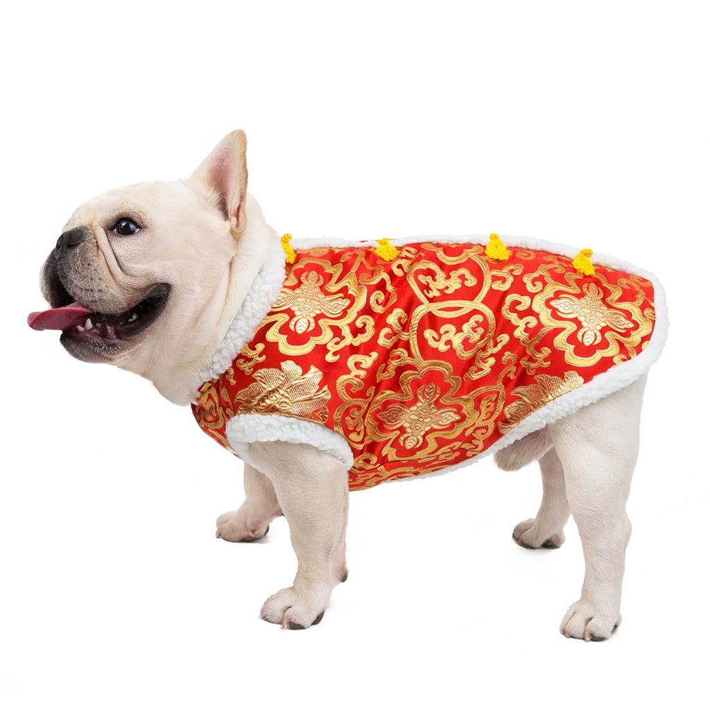 dog chinese new year costume