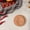 G, variant on IAJFHAFS Brown Sugar Saver- Brown Sugar Keeper Disc To Maintain Food Moisture In Storage Container - Terra Cotta Bear Softener Alternative