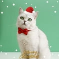 thumbnail image 3 of CNKOO Xmas Pet Collar Super Soft Exquisite Pattern Quick Release Adjustable Washable Dress Up Cotton Polyester Snowflake Elk Printed Pet Collar with Mini Bell Pet Supplies, 3 of 10