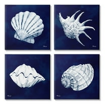 Stupell Industries Traditional Cyanotype Shells Graphic Art Gallery Wrapped Canvas Print Wall Art, Set of 4, Design by Paul Brent