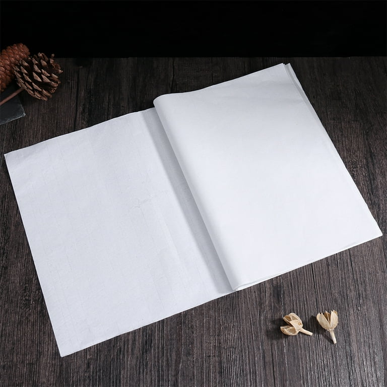 150 Sheets Chinese Calligraphy Paper Grid Paper Xuan Rice Paper Chinese  Calligraphy Brush Ink Lover Beginner Writing Sumi Set