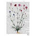 thumbnail image 2 of Fab Funky 26x32 Gold Ornate Wood Framed with Double Matting Museum Art Print Titled - Italian Carnation 5, 2 of 4