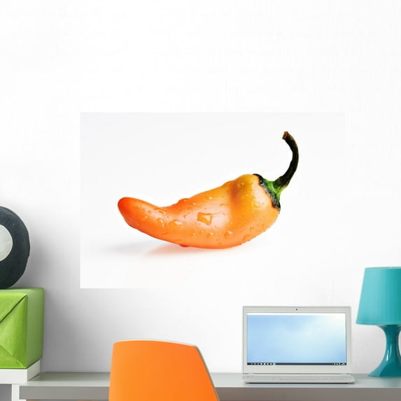 Orange Pepper Wall Decal by Wallmonkeys Peel and Stick Graphic (24 in W x 16 in H) WM146052