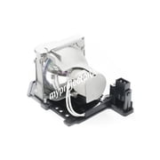 Optoma XE134 Projector Lamp with Module