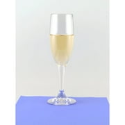 Galleyware Company Acrylic 6 oz. Champagne Flute (Set of 6) by Galleyware Company