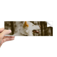thumbnail image 1 of Perro Blanco animal foto Rectángulo Parachoques Pegatina Cuaderno Ventana Calcomanía, 1 of 1