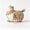 Cat, variant on Lumulena Bohemian Dachshund Figurine, Hand-Painted Resin Dog Statue with Tassel, Multicolor Folk Art Decor for Shelf Mantel and Desk, Handmade Painted Art Pattern Decorative Ornaments