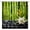 Green Black, variant on Bamboo Shower Curtain Green Bamboo Forest Tree Japanese Asain Art Rustic Vintage Wild Nature Plant Scenic Watercolor Fresh Spa Fabric Bathroom Sets with Hooks,Tan