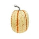 thumbnail image 2 of Calabaza Artificial, utilería de simulación, espuma de alta imitación, decoración para manualidades, calabaza falsa para otoño, recolección en casa, naranja y amarillo, 2 of 8