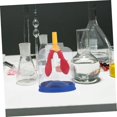 thumbnail image 4 of HUGFEGWE 5pcs Lung Breathing Model Lung Breathing Educational Toys Lung Function Demonstration Model Health Lung Display Breathing Lungs Model Assemble Model Lung Model Plastic U2537-2536, 4 of 9