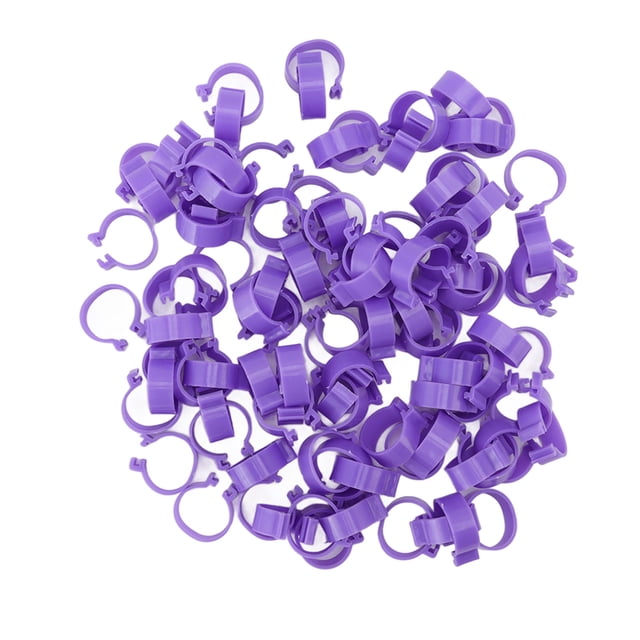 Anneau de Pied de Poule Canard, 100 Pcs Anneau de Pied de Poule Testé Professionnellement